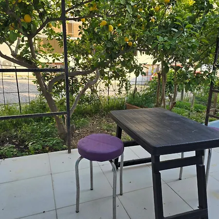 Cesme Pansiyon Homestay szállás